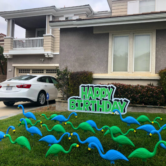 Happy Birthday Flocking