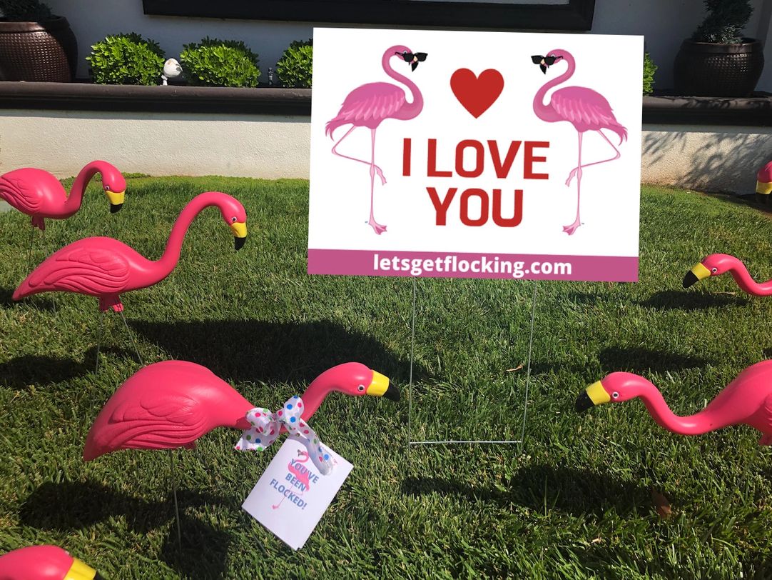 Baby Pink Flocking – Flocking Unlimited